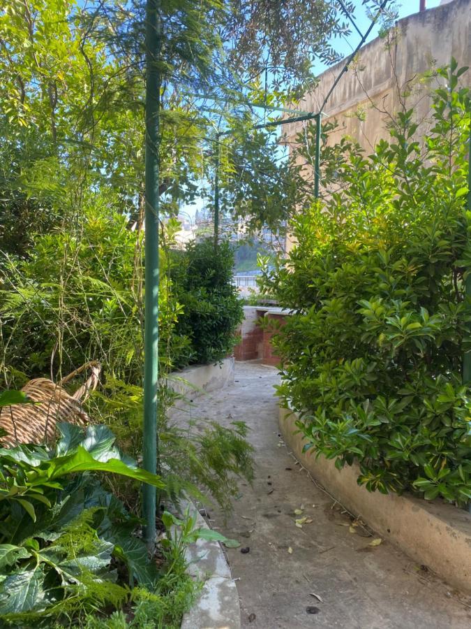 Central House With Beautiful Garden Amman Extérieur photo