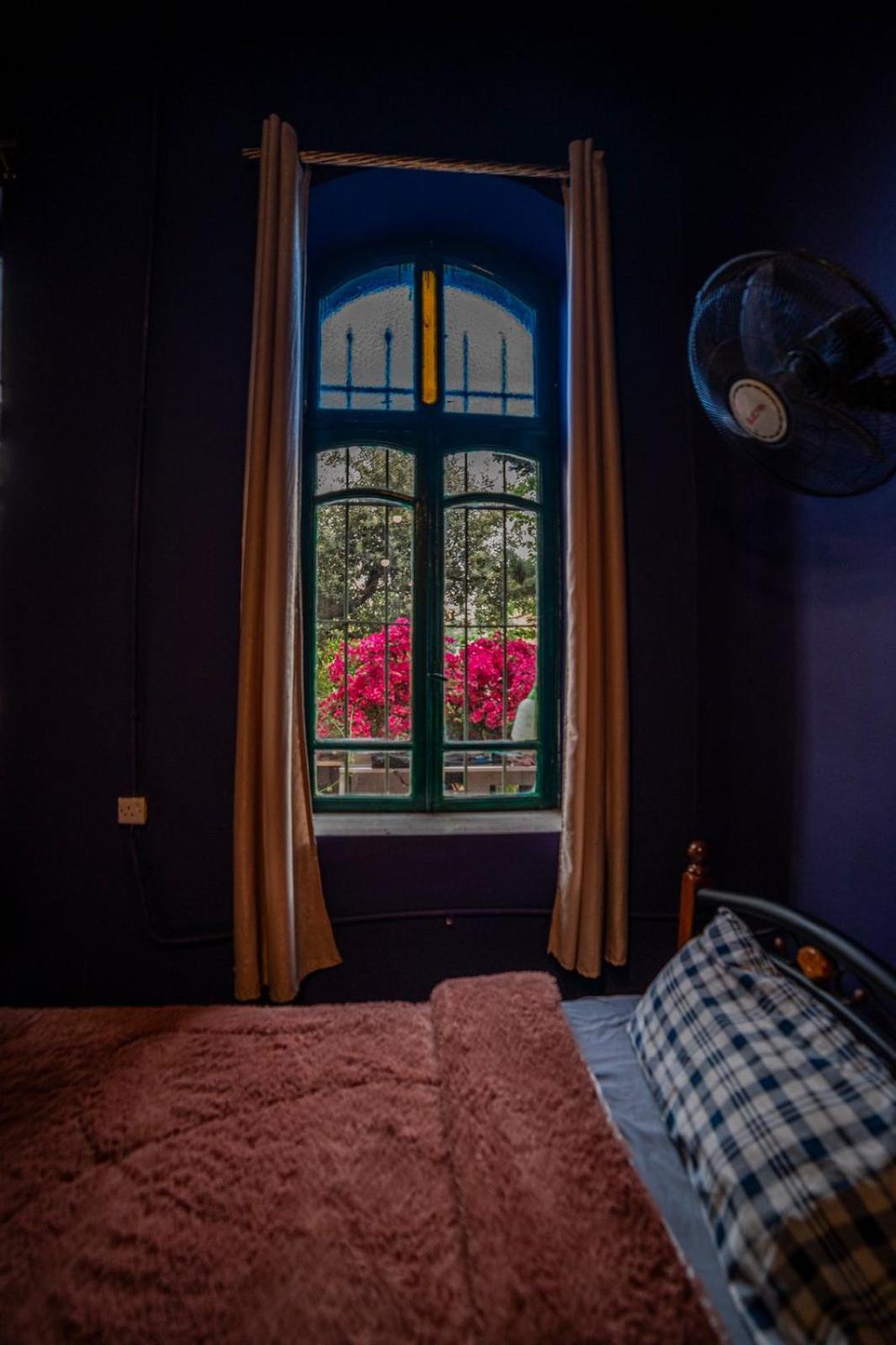 Central House With Beautiful Garden Amman Extérieur photo